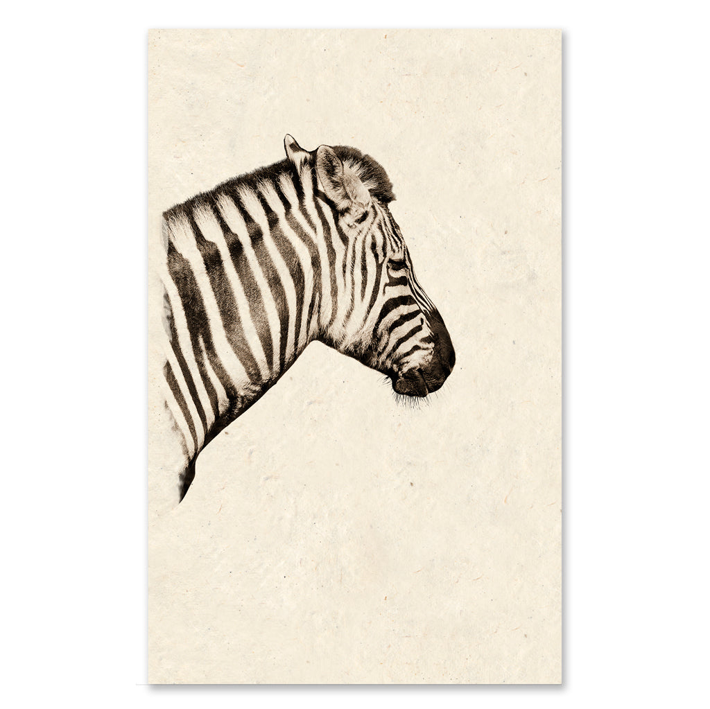 Zebra GRAND FORMAT