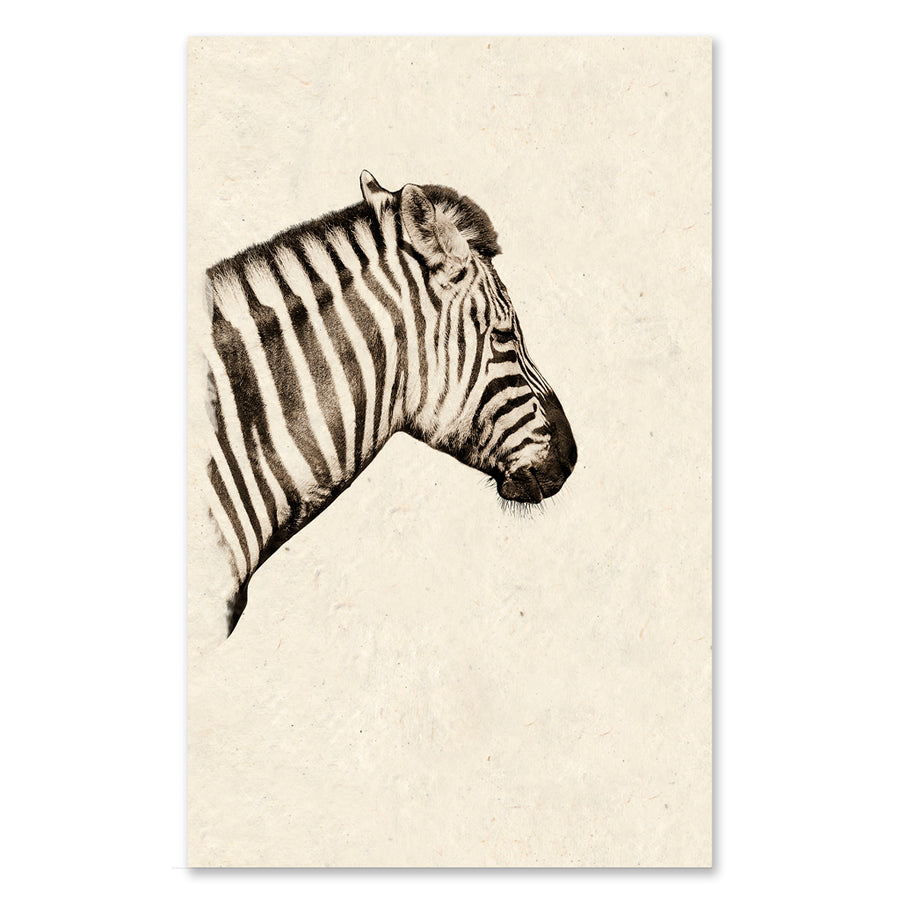 Zebra GRAND FORMAT