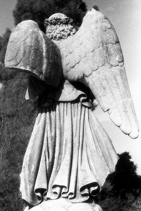 Broken Wing- Oakland, CA