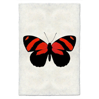 Butterfly #10