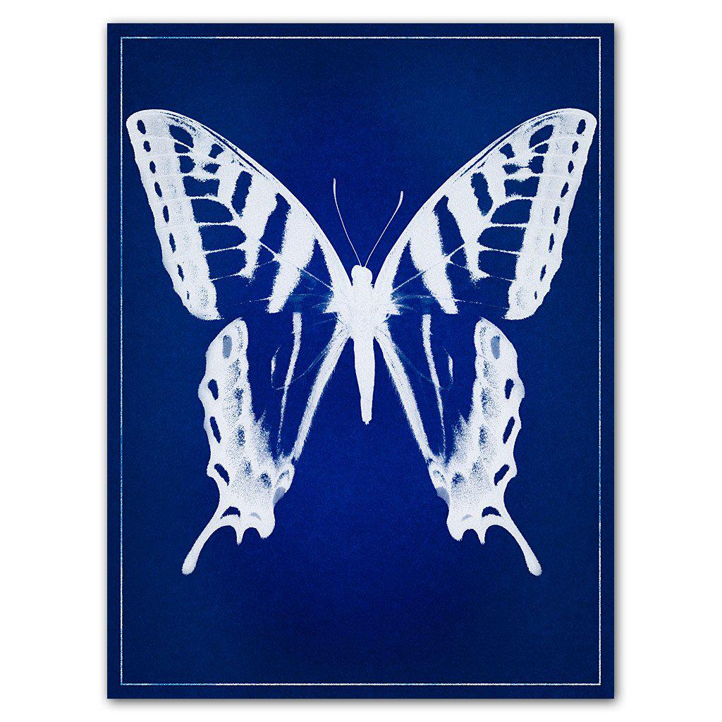 Butterfly blue print