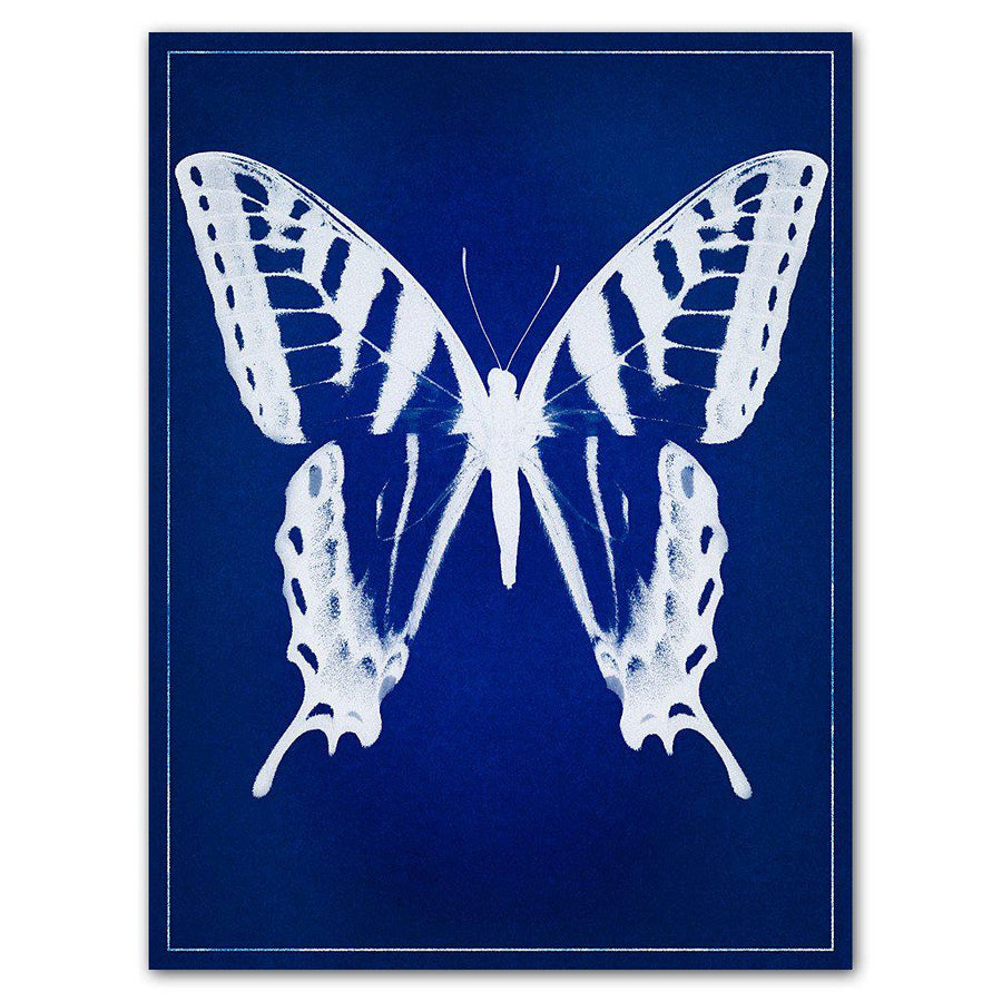 Butterfly blue print