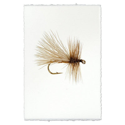 Caddis Variant