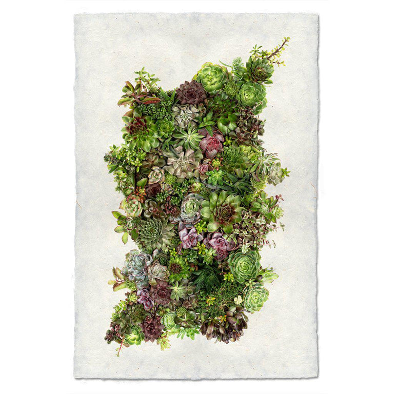 Collectives — BARLOGA STUDIOS- fine photographs on intriguing papers