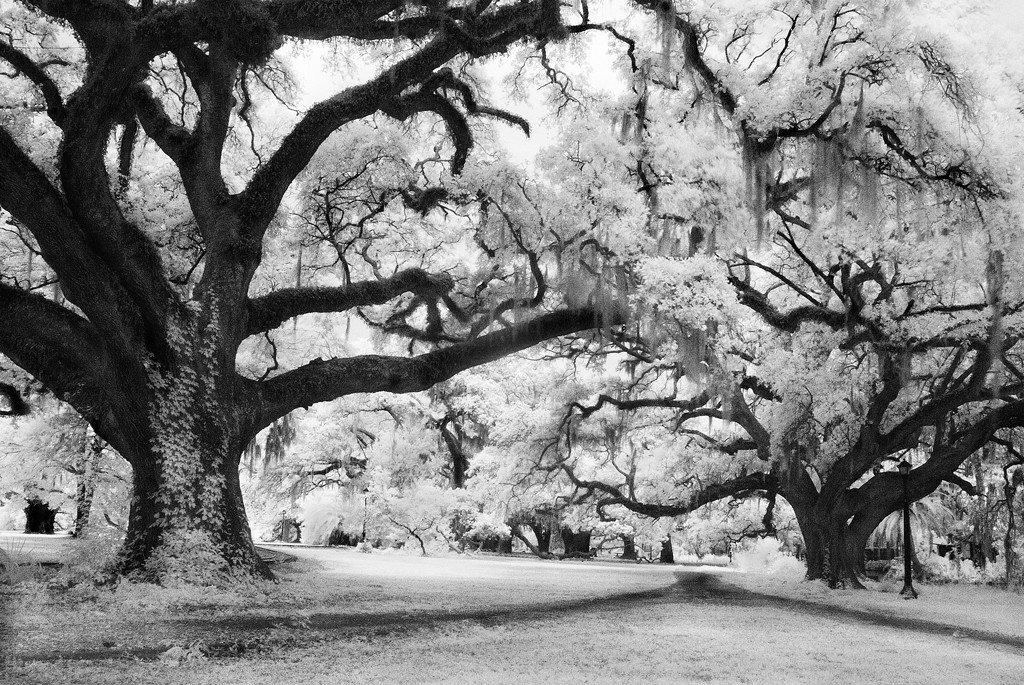Convergence- New Orleans, LA