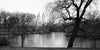 Daybreak - Central Park, NY