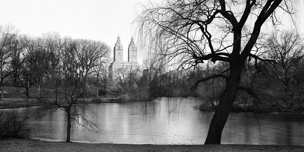 Daybreak - Central Park, NY
