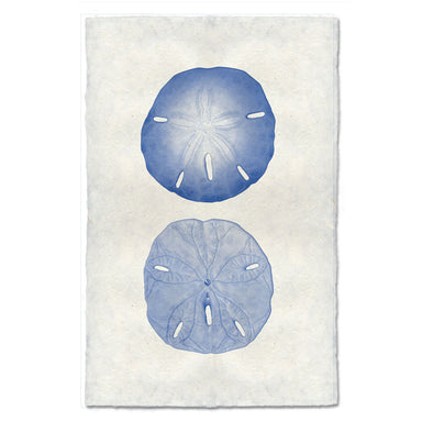 Double Sand Dollar coastal wall art print — fine art coastal photography on handmade paper, San Francisco