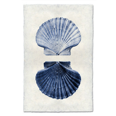 Double Shell coastal wall art print — fine art coastal photography on handmade paper, San Francisco
