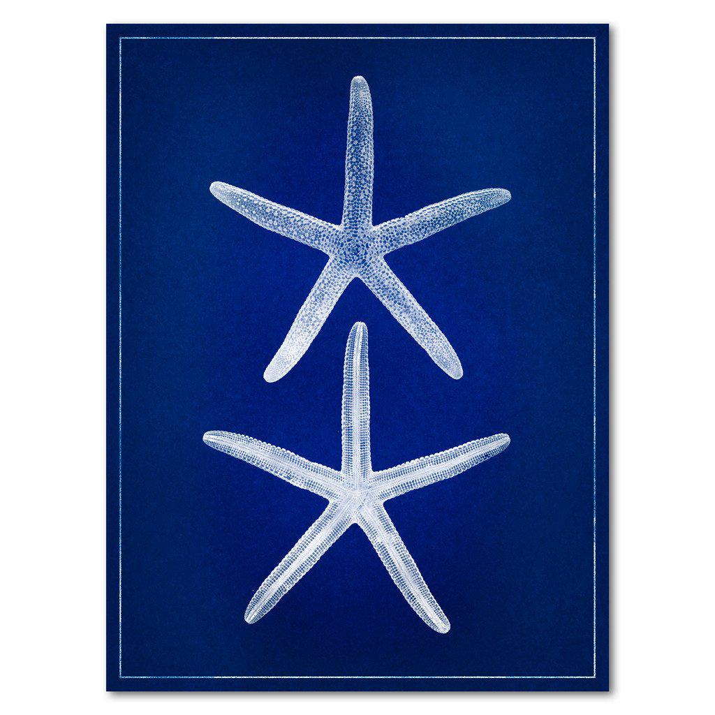 Double Starfish blue print