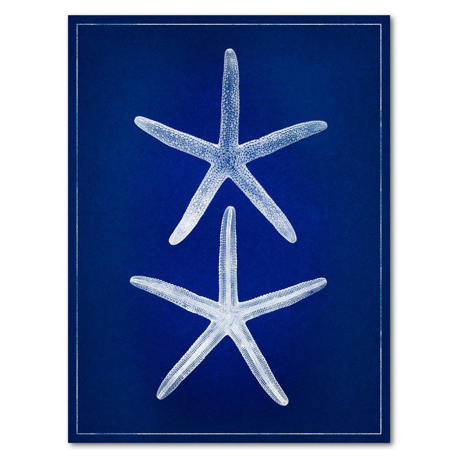 Double Starfish blue print