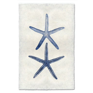 Double Starfish coastal wall art print — fine art coastal photography on handmade paper, San Francisco