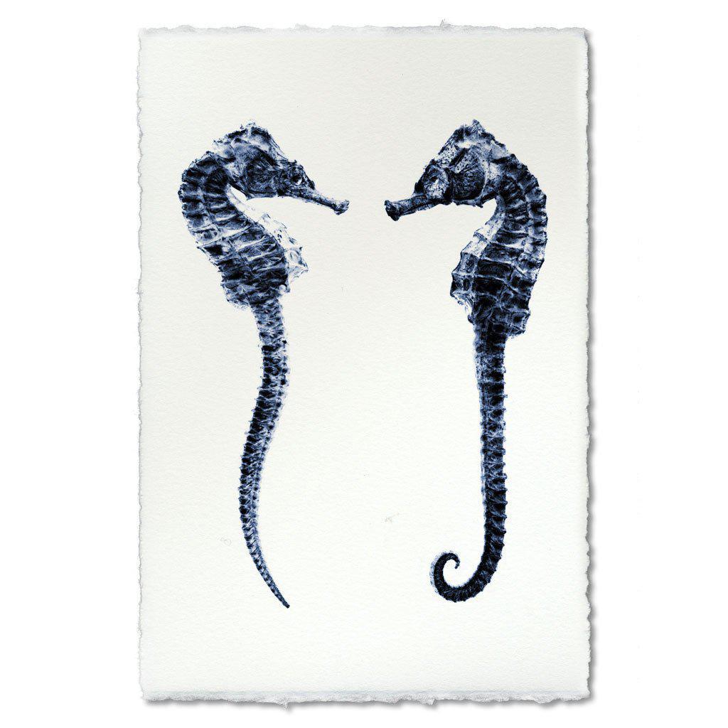 Double Seahorse grand format