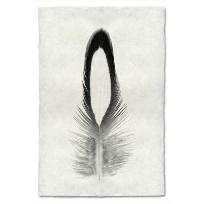 Feather Study #14 (Lady Amherst Pheasant Tippet) - BARLOGA STUDIOS ...