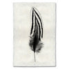 Feather Study #2 (Silver Pheasant)