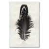 Feather Study #3 (Mallard Duck)