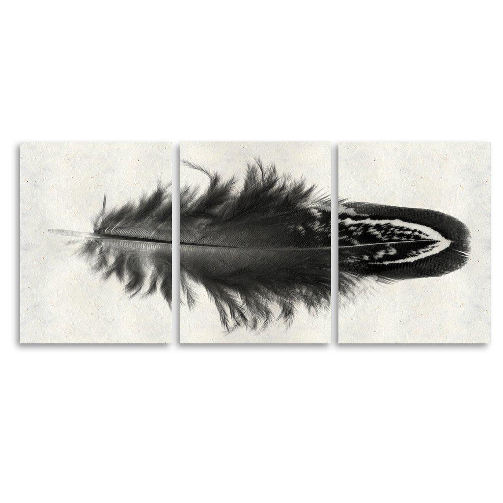 Feather #3 Trilogy Horizontal