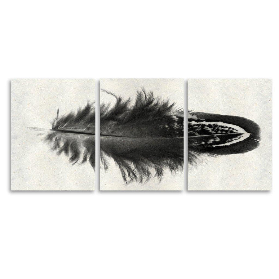 Feather #3 Trilogy Horizontal