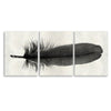 Feather #6 Trilogy Horizontal