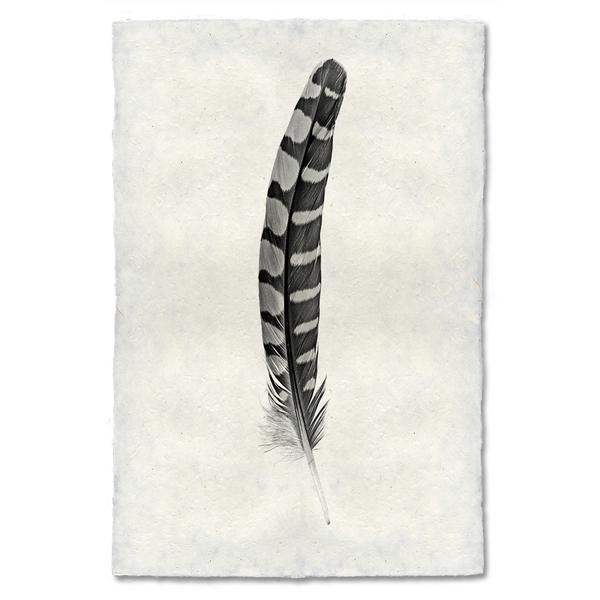 Feather Study #12 (Partridge Wing)