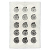 Heliacus Shells