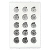 Heliacus Shells