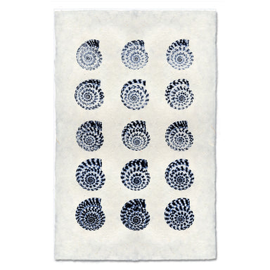 Heliacus Shells coastal wall art print — fine art coastal photography on handmade paper, San Francisco