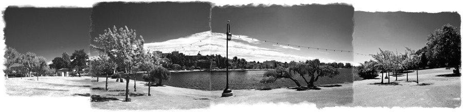 Lake Merritt Afternoon - Oakland, CA