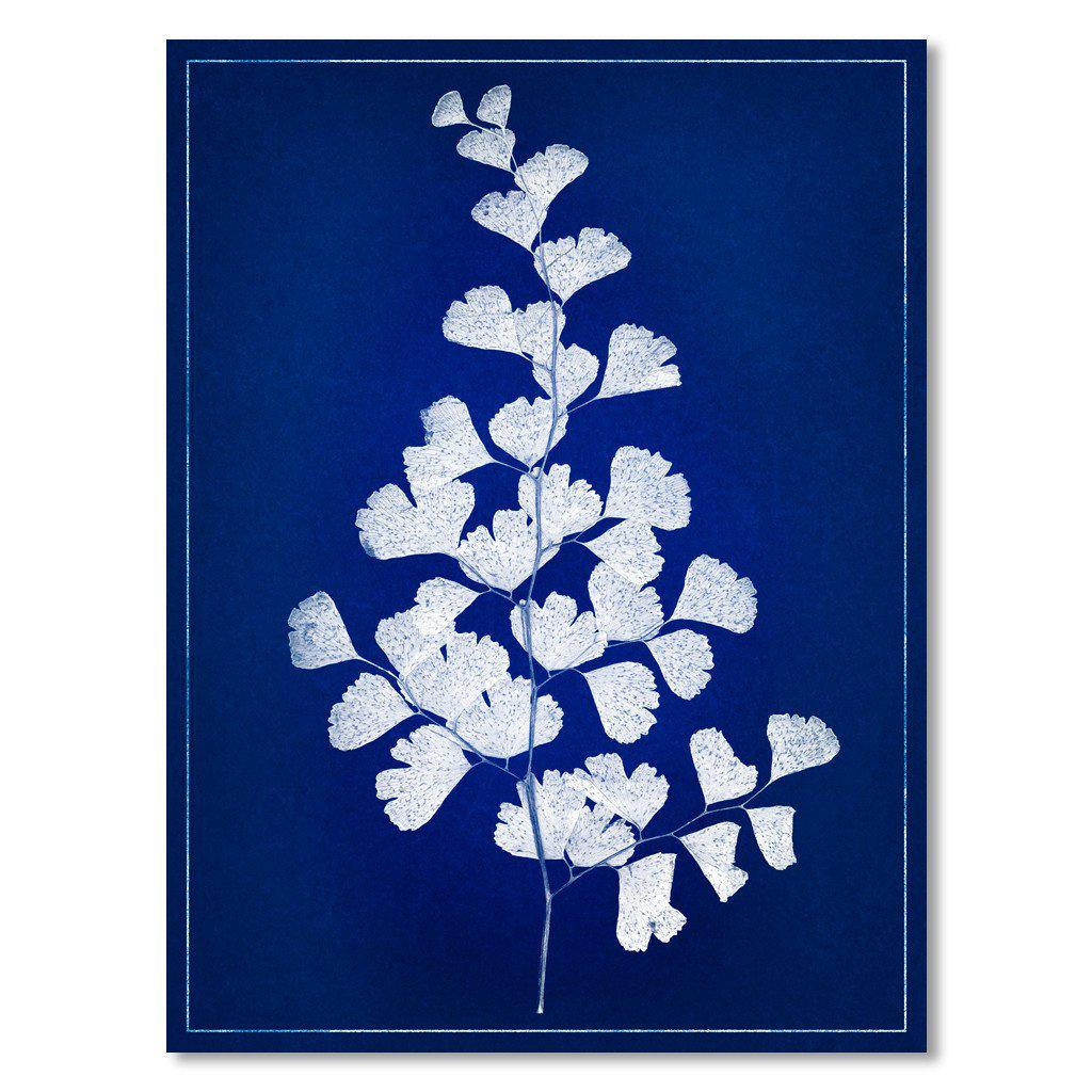Leaf Study #1 blue print