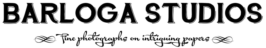 Barloga Studios Gift Card