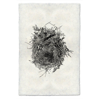 Nest Study #13