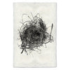 Nest Study #9