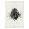 Nest Study #8