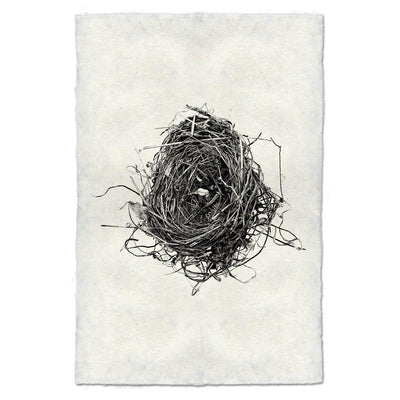 Nest Study #8