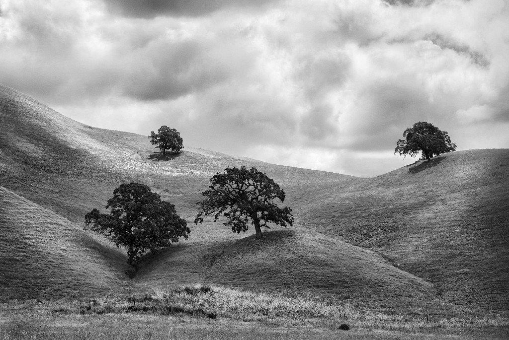 Nowhere #1- Northern California