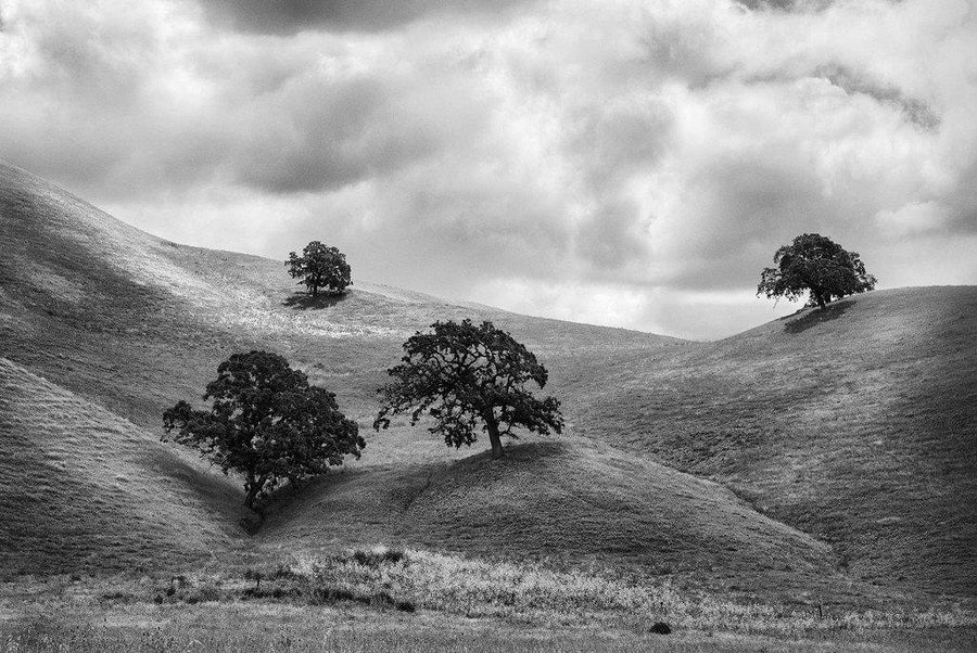 Nowhere #1- Northern California