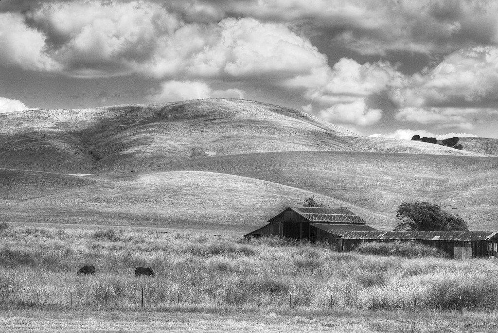 Nowhere #2, Northern California