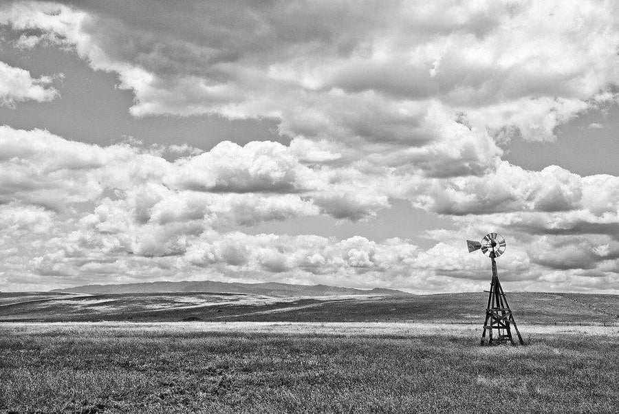 Nowhere #4 - Northern California