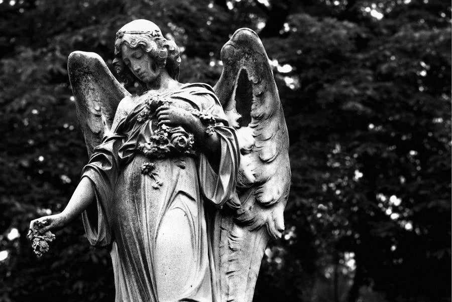 Offering- Oakland, Ca