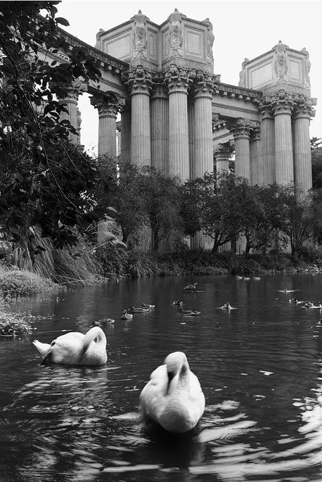 Palace of Fine Arts - San Francisco, CA