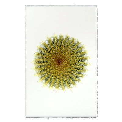 Pin Cactus