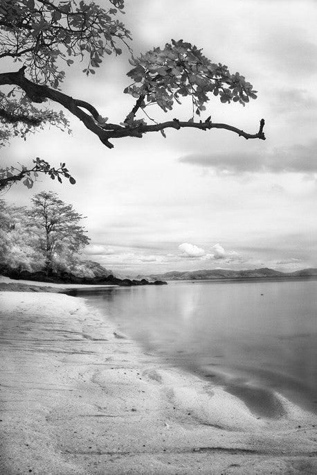 Prince Charles Beach #1 - Taveuni, Fiji