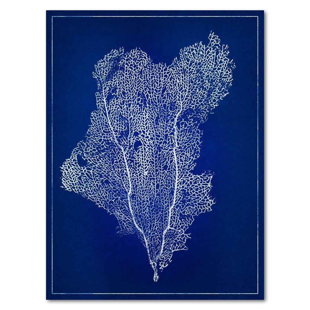 Sea Fan #1 blue print