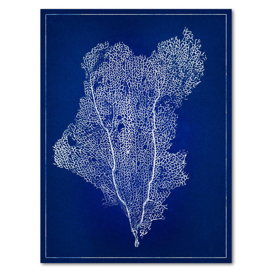 Sea Fan #1 blue print