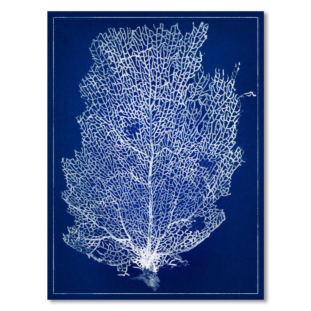 Sea Fan #2 blue print