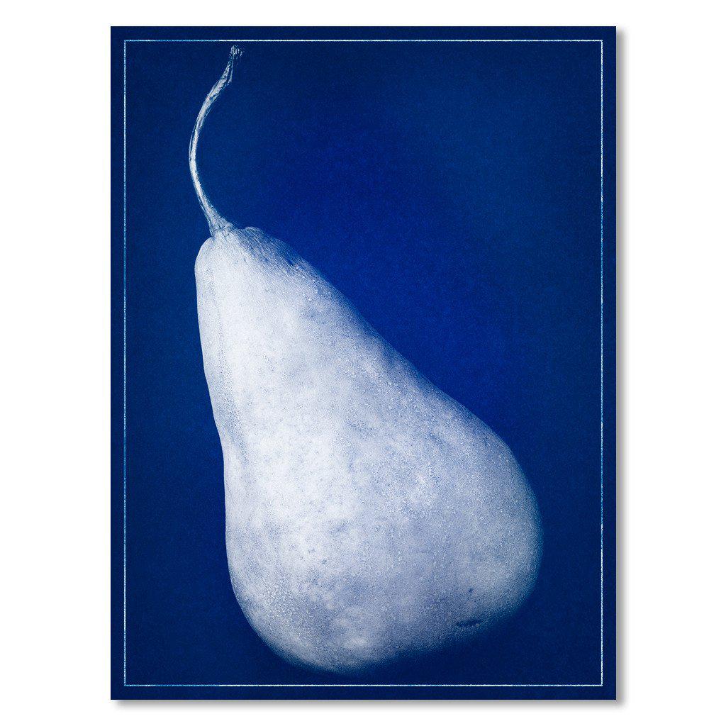 Single Pear blue print