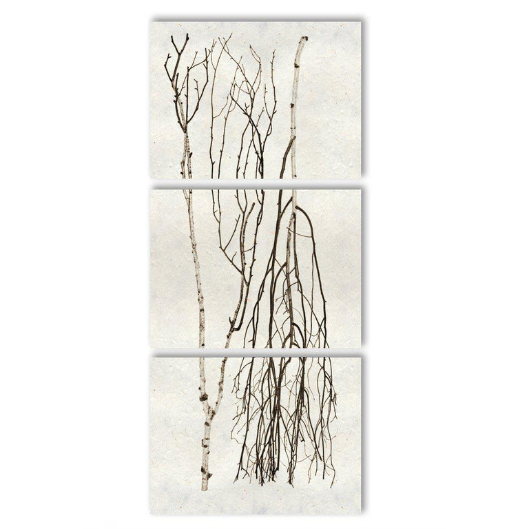 collection of black and white art photographs in triptych 3 panel ...