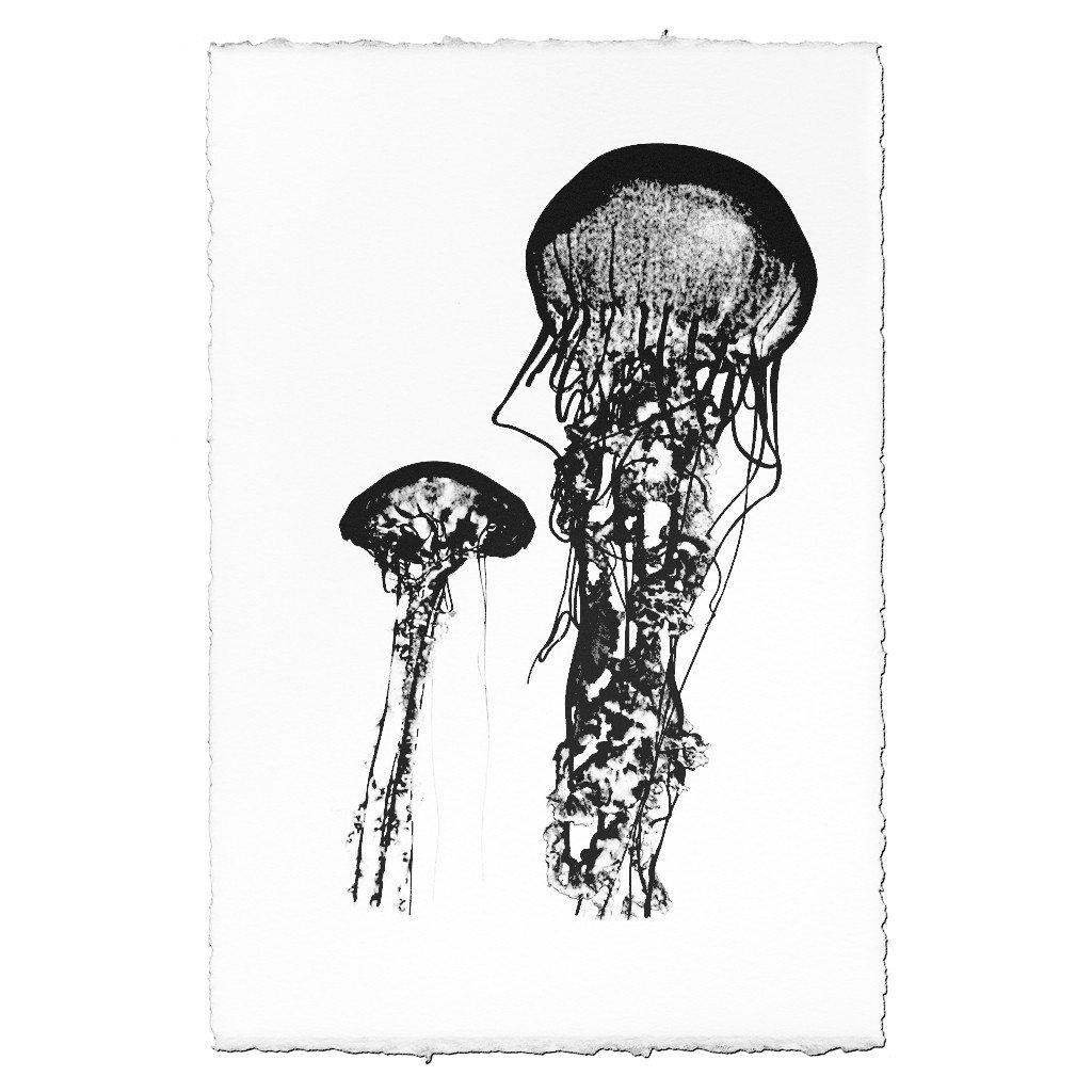 Two Jellies
