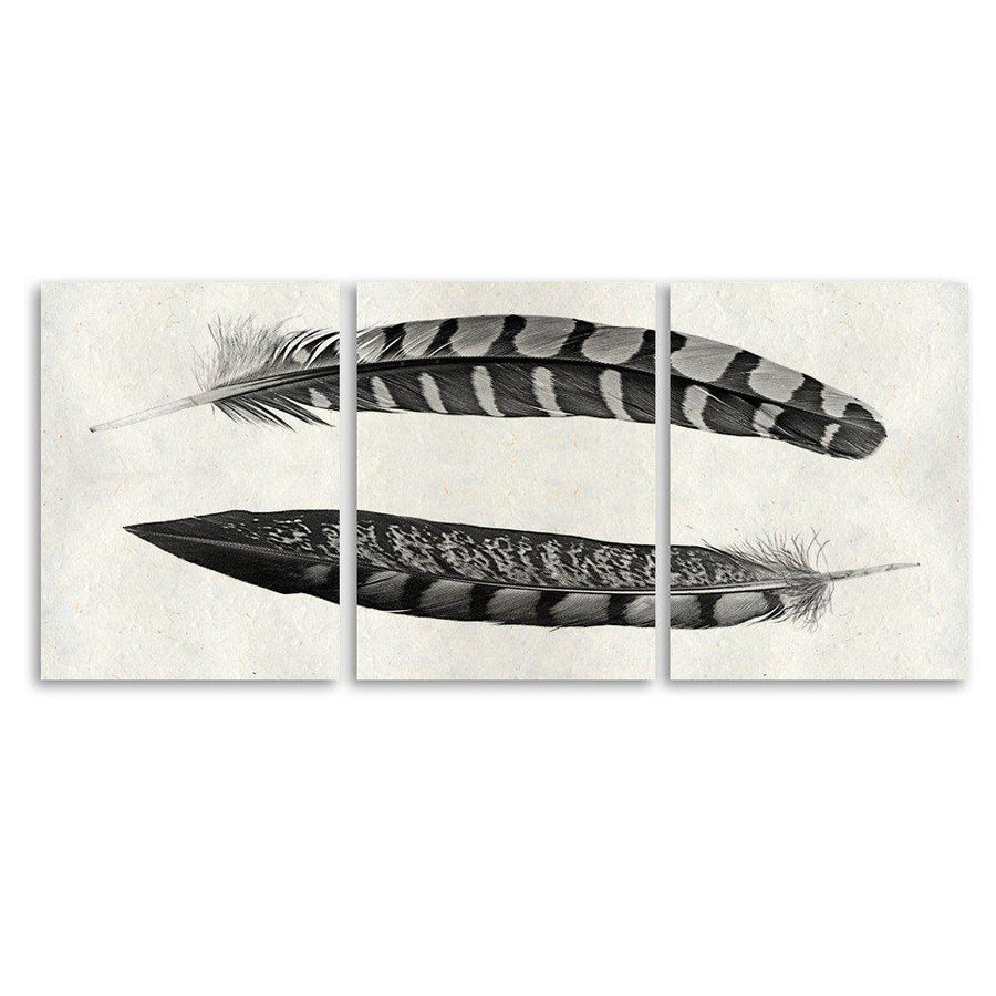 Two Curved Feathers Trilogy Horizontal