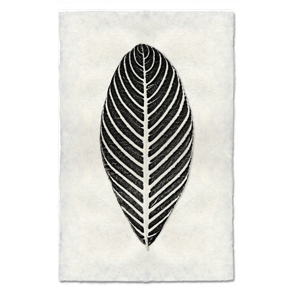 Zebra Leaf